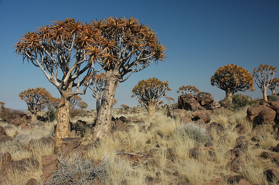 Natuurspeeltuin