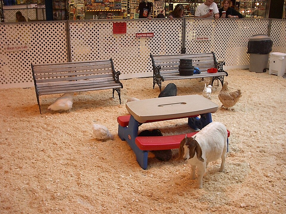 Zoddepark